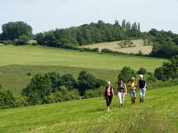 Geführte Wandergruppe in Bad Driburg.