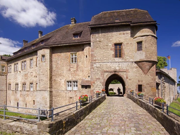 Burg Dringenberg Historische Burg Dringenberg mit Torbogen und Kopfsteinpflasterweg, umgeben von grünen Bäumen.