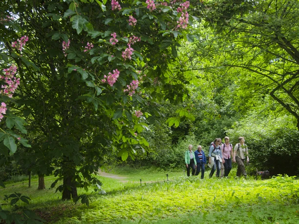 Wandergruppe am Buddenberg Arboretum.