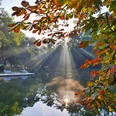Gartenschau 2.jpeg Sonnenstrahlen brechen durch Kastanienblätter und spiegeln sich im ruhigen See, umrahmt von Bäumen.