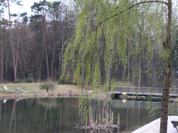 Ein Teich von Bäumen umgeben, mit einer Brücke und herabhängenden Weidenzweigen im Vordergrund.