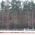IMG_0559.JPG Reiterplatz mit Hindernissen vor einem dichten Nadelwald unter einem bewölkten Himmel.