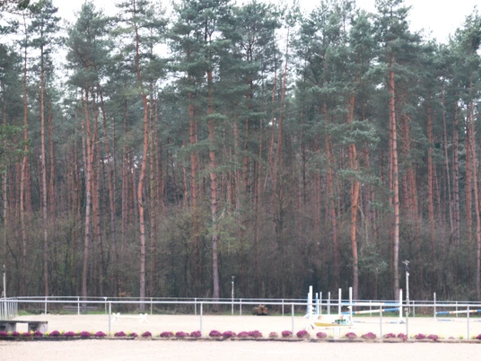 IMG_0559.JPG Reiterplatz mit Hindernissen vor einem dichten Nadelwald unter einem bewölkten Himmel.