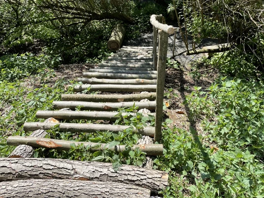 Barfußpfad & Naturparcours auf Schloss Ippenburg