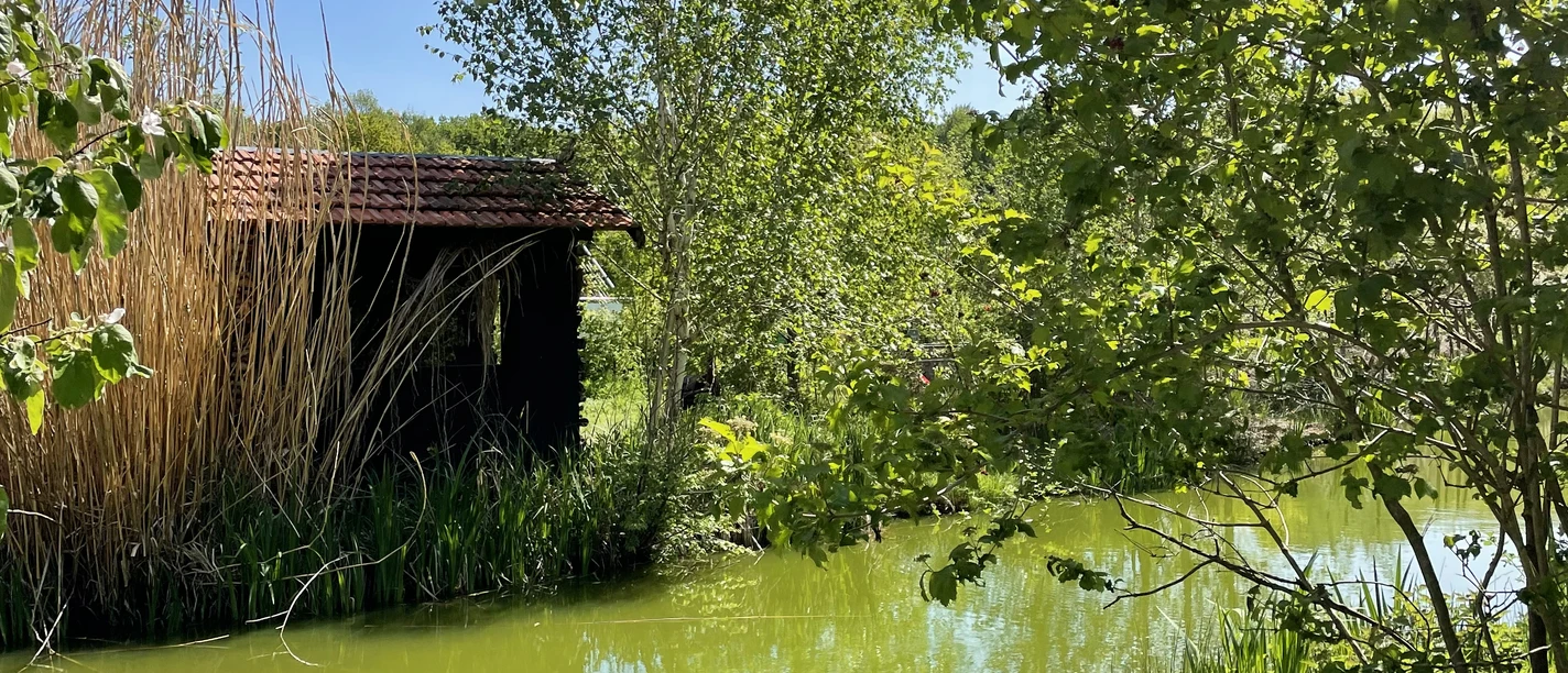Das Gelände von Schloss Ippenburg