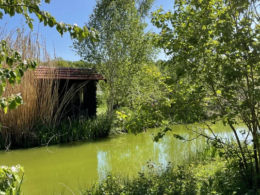 Das Gelände von Schloss Ippenburg