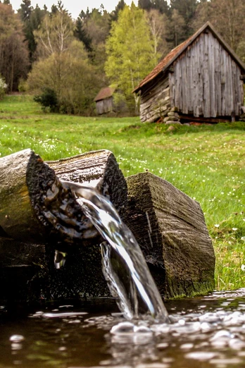 Forbach-Langenbrand-Bei der Vereinsalm