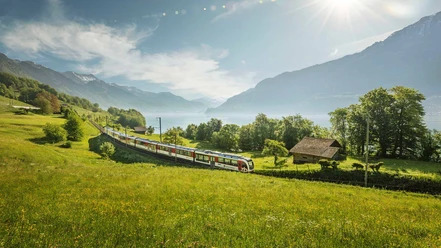 zentralbahn-zug-fruehling-wiese-blumen-brienzersee-oberried.jpg
