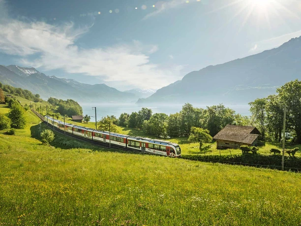 zentralbahn-zug-fruehling-wiese-blumen-brienzersee-oberried.jpg