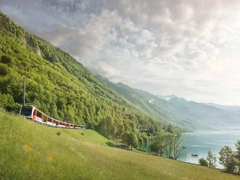 zentralbahn-zug-fruehling-wiese-blumen-brienzersee-brienz-oberried.jpg