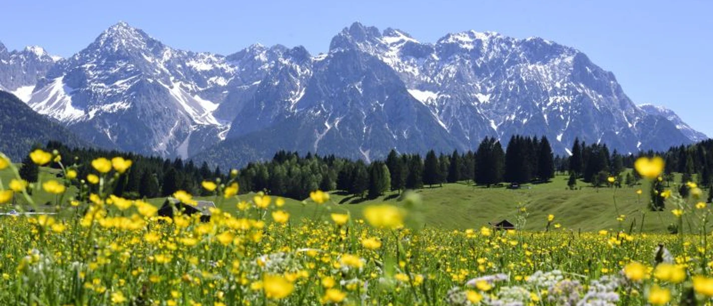 Wildkräuterwanderung mit Danny Böttger