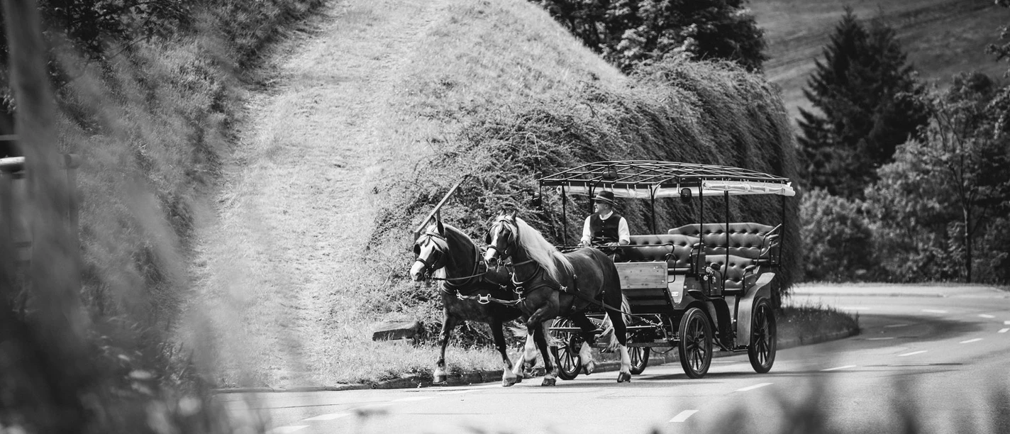 Kutschfahrt ins romantische Tonbachtal