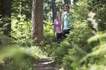 Naturerlebnis Wald