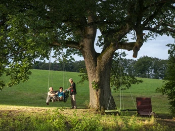 eiche-im-ohl-menschen-schaukel c__klaus-peter_kappest.jpg.jpg