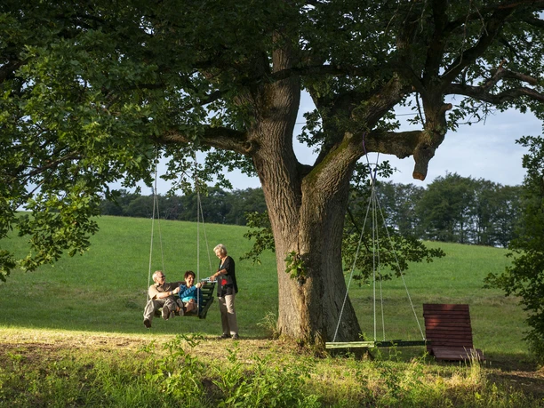 eiche-im-ohl-menschen-schaukel c__klaus-peter_kappest.jpg.jpg