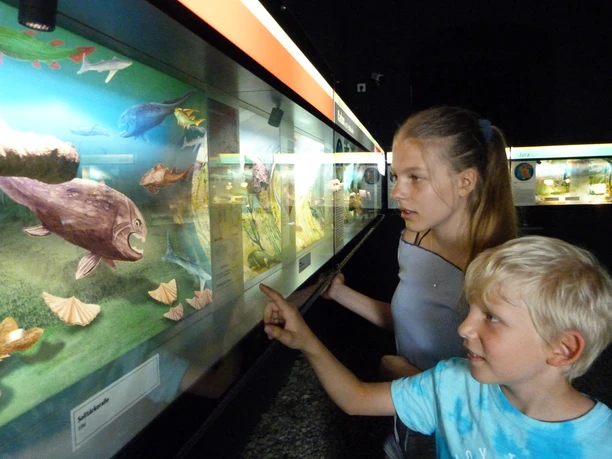 Themenwelt Steine Kinder betrachten fasziniert eine Ausstellung mit prähistorischen Fischen und Fossilien.
