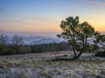 osterkopf-vor-sonnenaufgang_c__klaus-peter-kappest-sauerland-wanderdoerfer.jpg