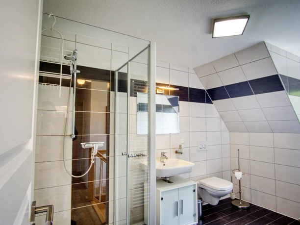Bad Helles Badezimmer mit Dachschräge, Glasdusche, Waschbecken, WC und weiß-blauen Fliesen.
