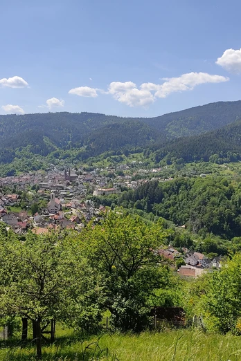 Forbach-Gausbach-Blick vom Ringberg auf Gausbach und Forbach