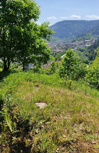 Forbach-Gausbach-Hohlweg am Tennetberg