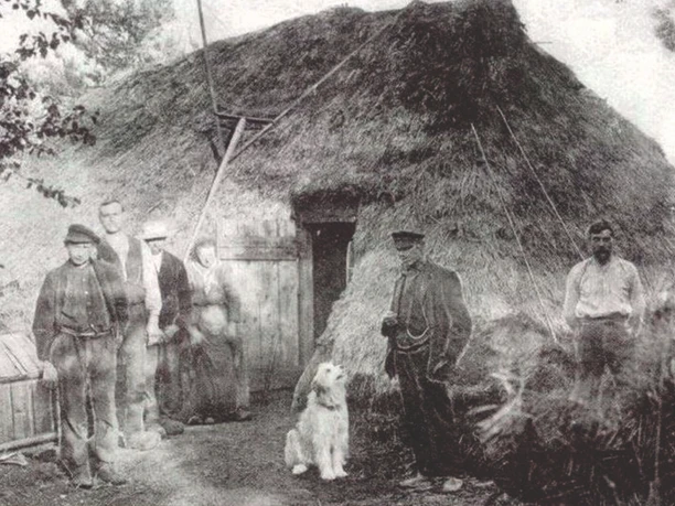 Zwartemeer 439 Falke-Berens.jpg