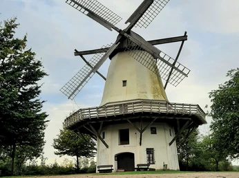 Historische Windmühle in einem grünen Park, umgeben von Bäumen, mit einem Backsteinweg im Vordergrund.