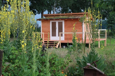 Tiny House Spatzennest Außenansicht Ein kleines Holzhaus mit begrüntem Dach, umgeben von Wildpflanzen und Bäumen, steht auf einer Rasenfläche.