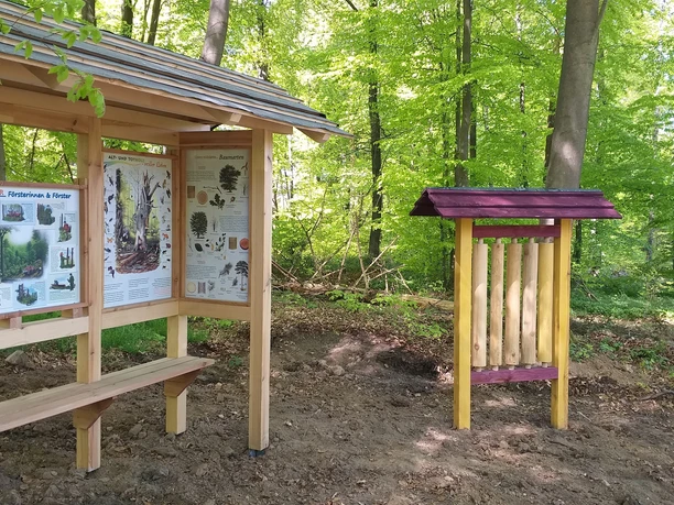 Dendrophon und Aufgaben der Förster/Innen