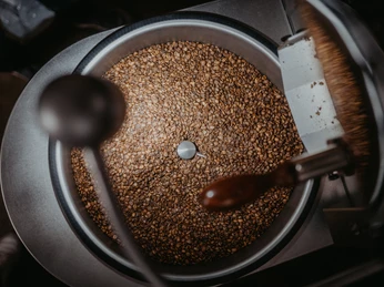 Das Bild zeigt Kaffeebohnen.