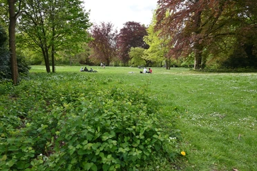 Bürgerpark Bürgerpark im Frühling