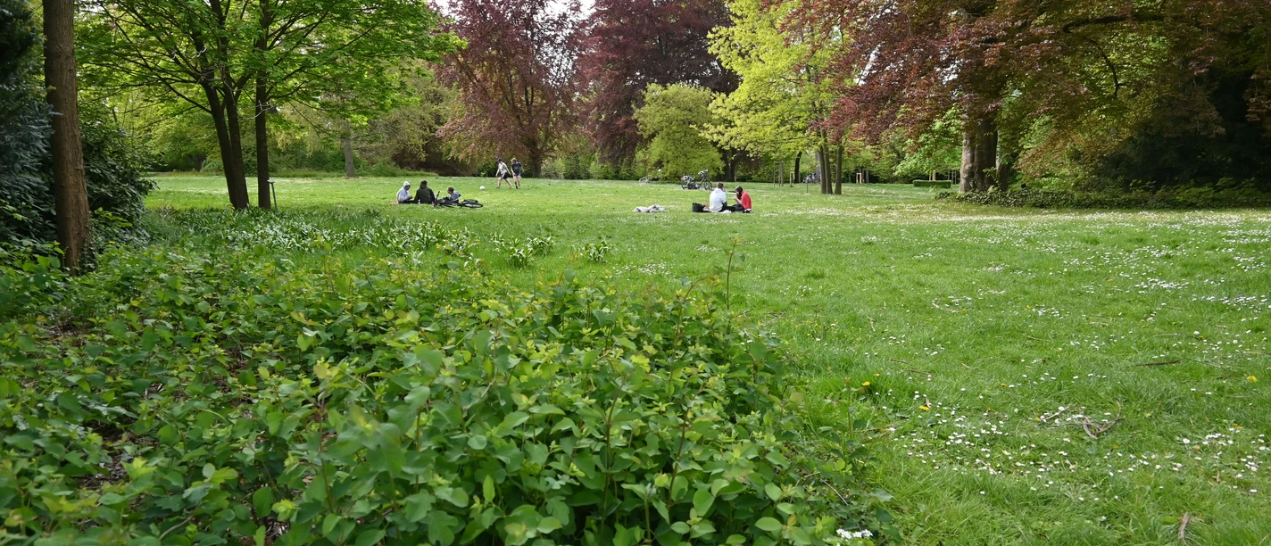 Bürgerpark Bürgerpark im Frühling