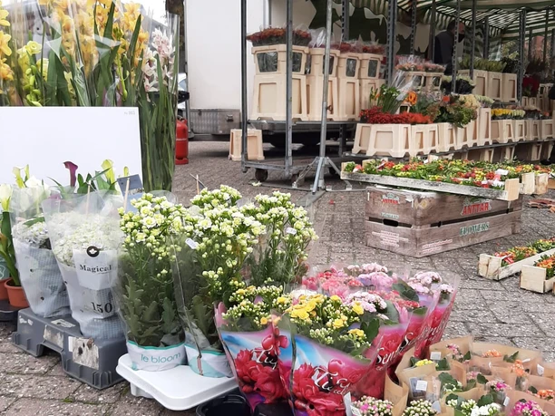 Wochenmarkt_Blumen Wochenmarkt Blumen