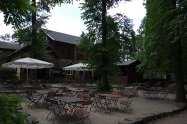 Berggaststätte Pfaffenstein Ein leerer Biergarten mit Holztischen und -stühlen unter großen Bäumen und Sonnenschirmen vor einem rustikalen Gebäude.