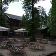Pfaffenstein Mountain Restaurant An empty beer garden with wooden tables and chairs under large trees and parasols in front of a rustic building.