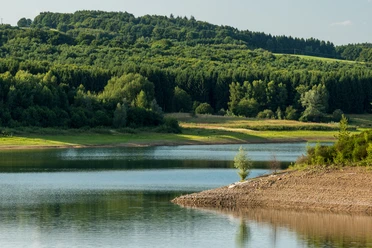 Dhünntalsperre Blick auf einen ruhigen See, umgeben von üppigem, dichtem Wald unter einem klaren Himmel.