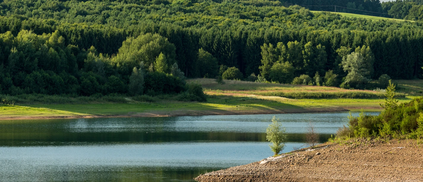 Dhünntalsperre Blick auf einen ruhigen See, umgeben von üppigem, dichtem Wald unter einem klaren Himmel.