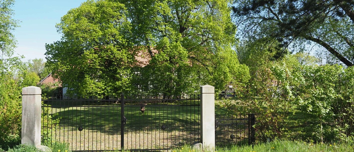 OLYMPUS DIGITAL CAMERA OLYMPUS DIGITAL CAMERA