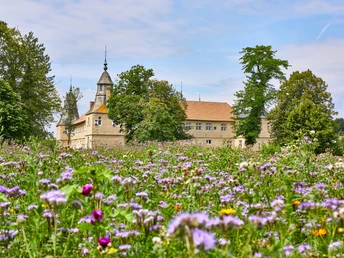 ascheberg-schloss-westerwinkel-suedkurs