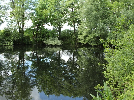 Alveser See Ruhiger See mit üppiger grüner Vegetation rundherum, Spiegelung der Bäume im klaren Wasser.