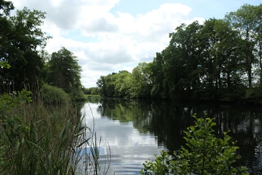 Ruhiger See mit spiegelndem Wasser, umgeben von hohen Bäumen und Schilf unter bewölktem Himmel.
