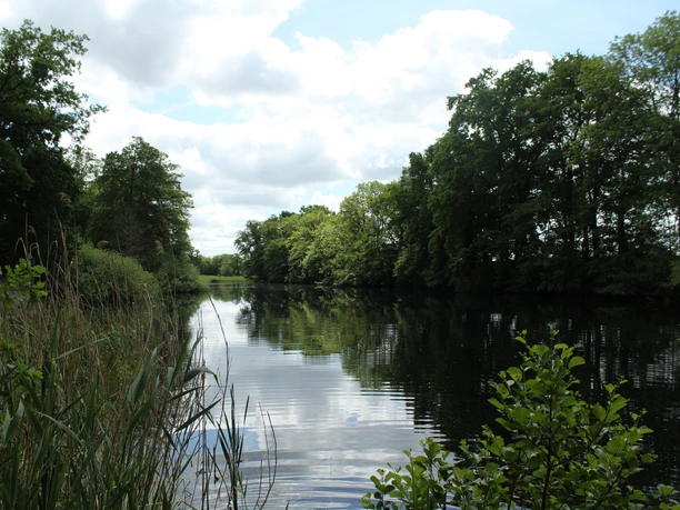 Ruhiger See mit spiegelndem Wasser, umgeben von hohen Bäumen und Schilf unter bewölktem Himmel.
