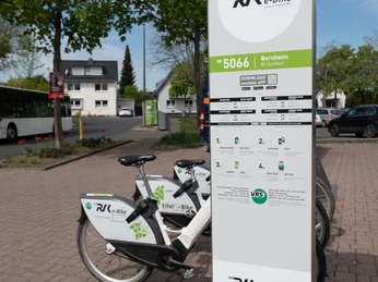 2022 Frühling Bornheim 2022 Frühling Bornheim