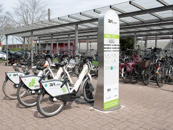 2022 Frühling Bornheim 2022 Frühling Bornheim