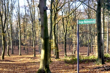 Waldmuseum Burg Herbstlicher Wald mit Schild Burger Waldmuseum