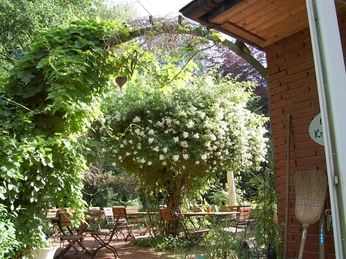 Sitzbereich im Garten