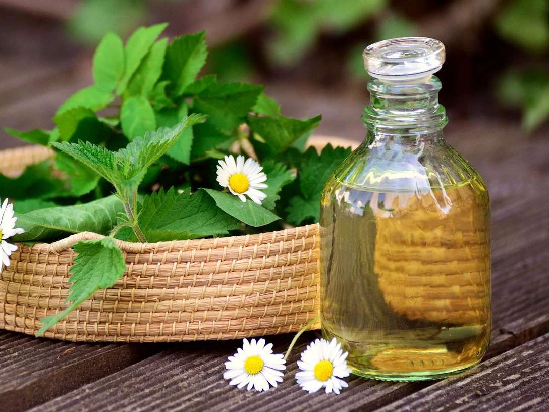 Wildkräuterwanderung in Bispingen Geflochtener Korb mit frischen Wildkräutern und Gänseblümchen neben einer Glasflasche mit Kräuteröl.
