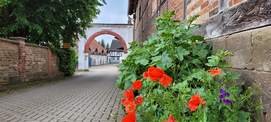 Reitschule Steinlah 7.jpg