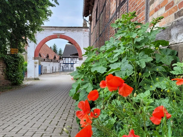 Reitschule Steinlah 7.jpg