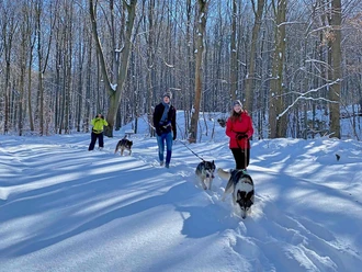 Husky-Trekking im Huy