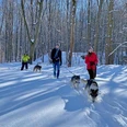 Husky-Trekking im Huy Husky-Trekking im Huy